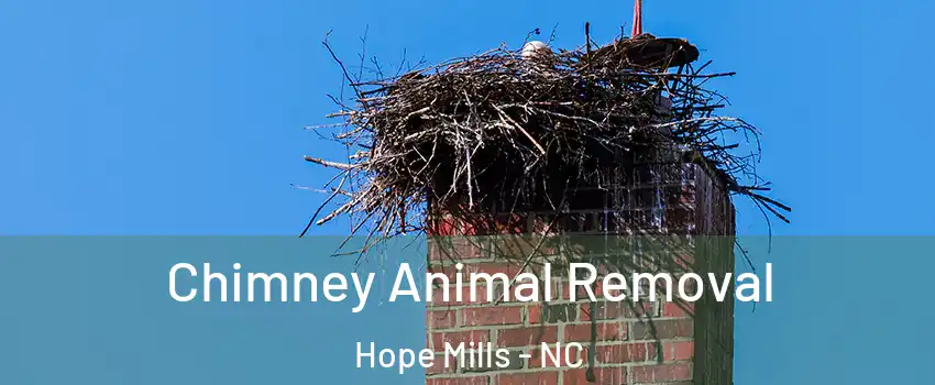  Chimney Animal Removal Hope Mills - NC