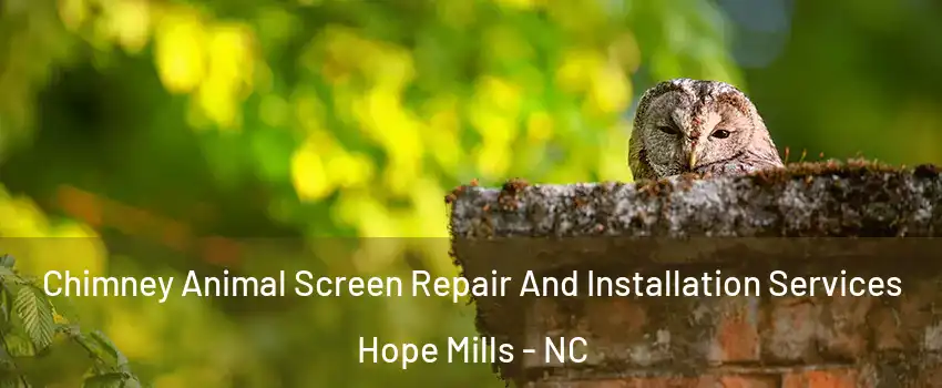  Chimney Animal Screen Repair And Installation Services Hope Mills - NC