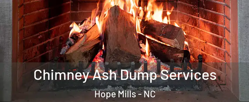  Chimney Ash Dump Services Hope Mills - NC