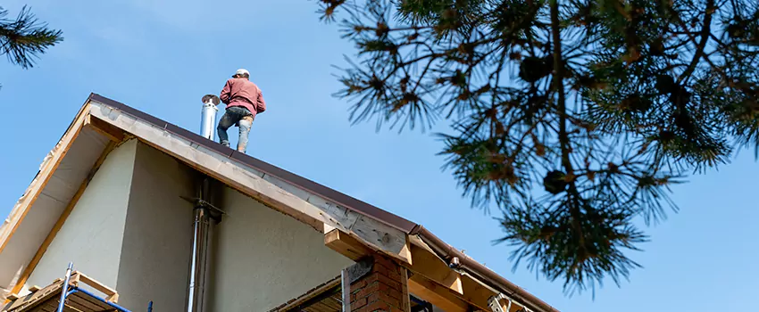 Birds Removal Contractors from Chimney in Hope Mills, NC