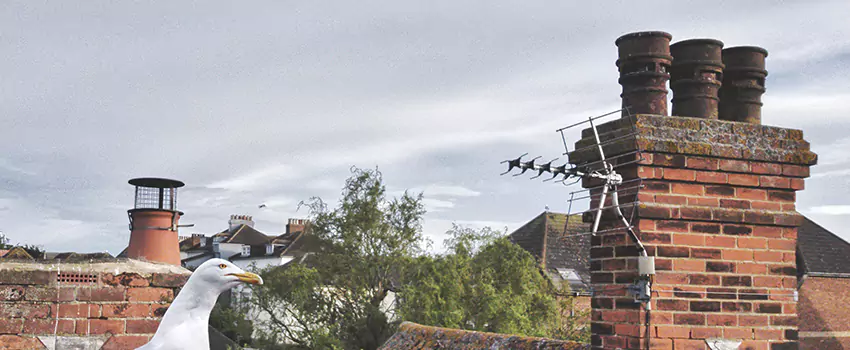 Chimney Cleaning And Restoration in Hope Mills, North Carolina