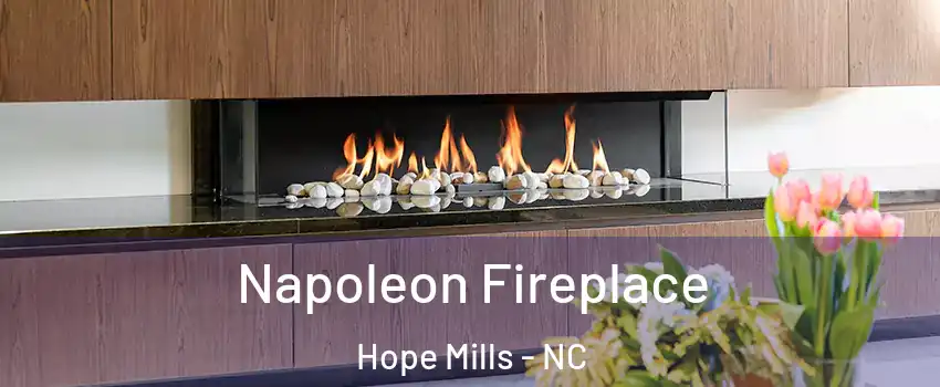  Napoleon Fireplace Hope Mills - NC